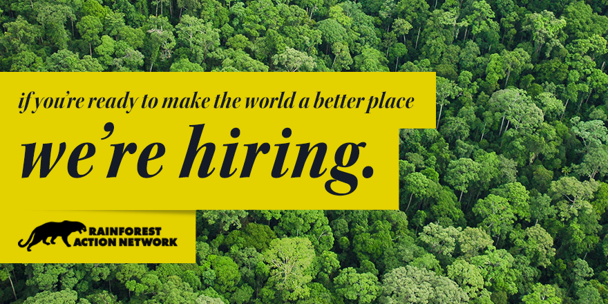 We're hiring